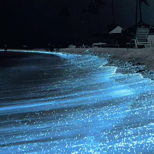 黄色三级片兔费网址
